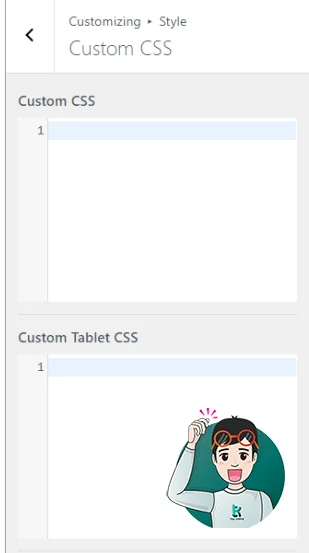 Custom CSS