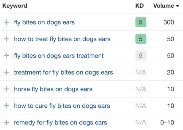 Fly-bites-supporting-keywords
