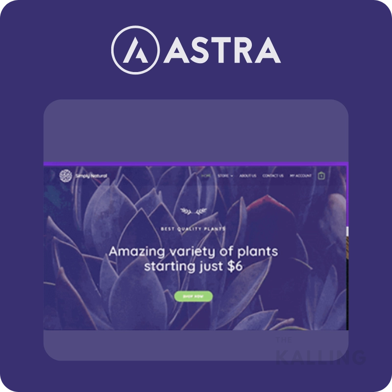 ธีม Astra Theme ราคาถูก